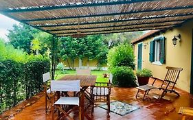 Casa Magnolia